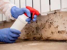 Asbestos and Lead Testing During Mold Inspection in Fruitdale, CA